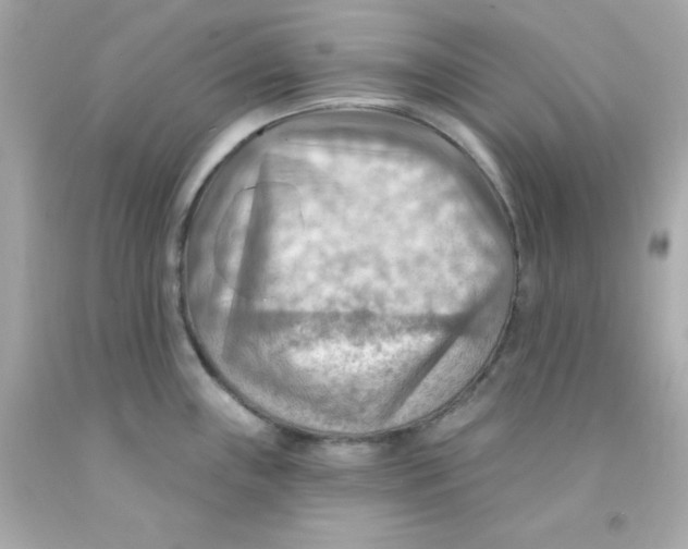 X0000093111243200710241235