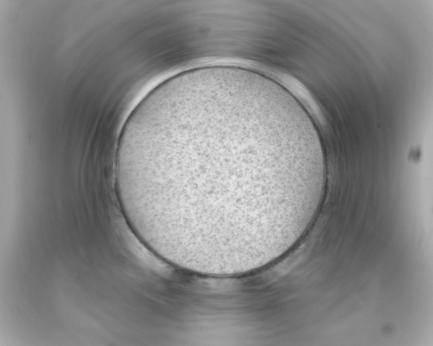 X0000093111244200710241235