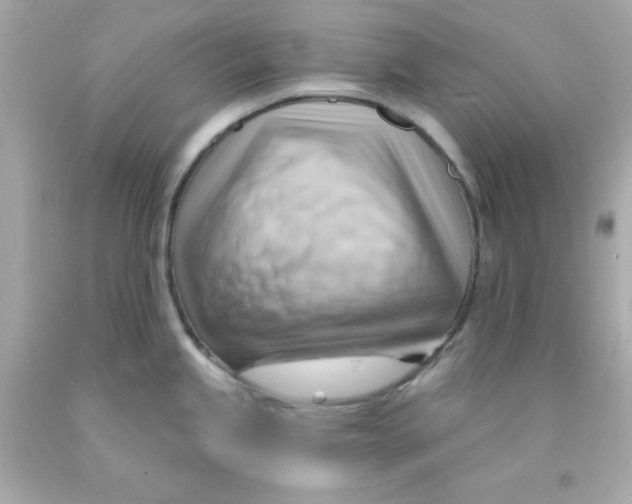 X0000093111245200710241235