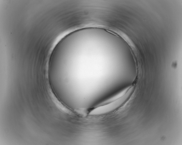 X0000093111246200710241235