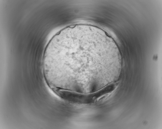 X0000093111247200710241235