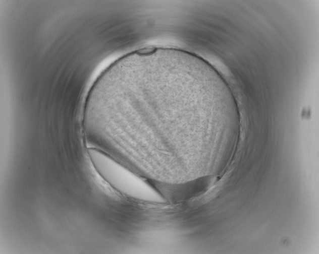 X0000093111248200710241235