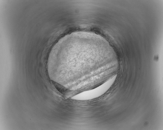 X0000093111249200710241235