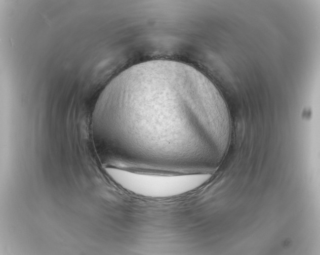 X0000093111250200710241235