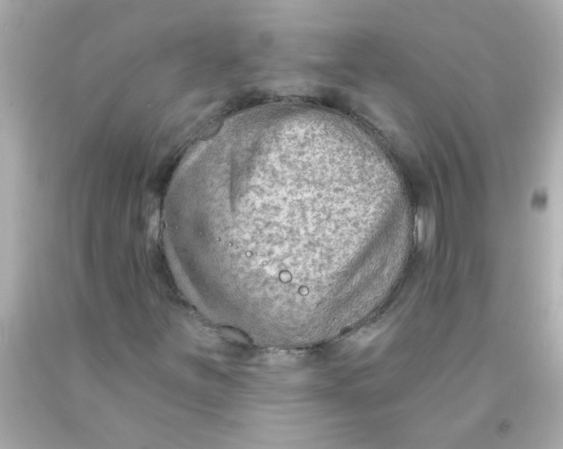 X0000093111251200710241235