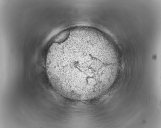 X0000093111255200710241235