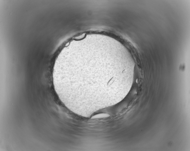 X0000093111256200710241235