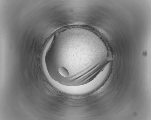 X0000093111257200710241235