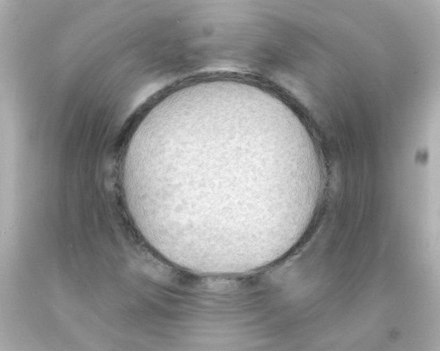 X0000093111258200710241235