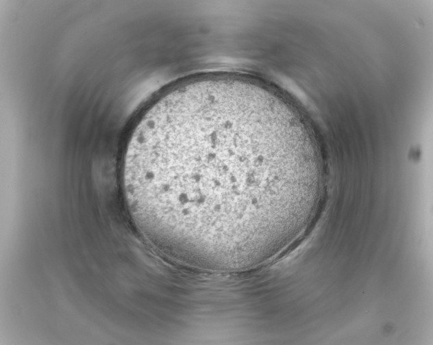 X0000093111259200710241235