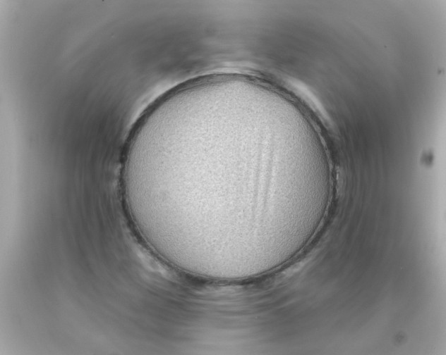 X0000093111260200710241234