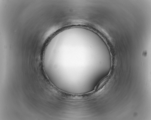 X0000093111261200710241234