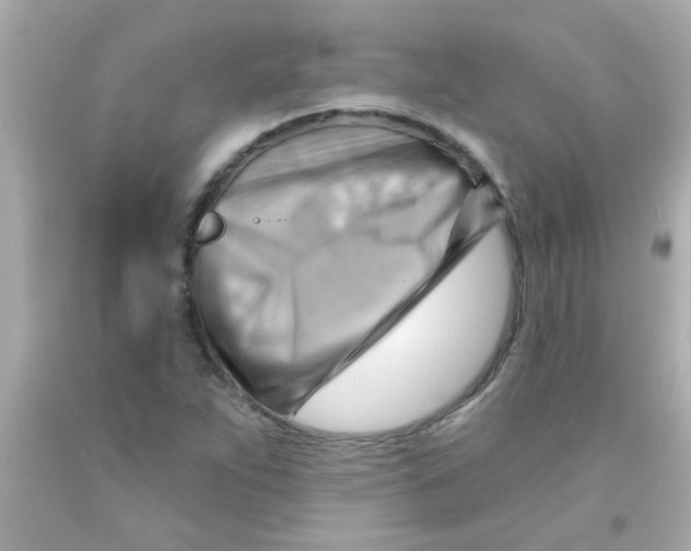 X0000093111263200710241234