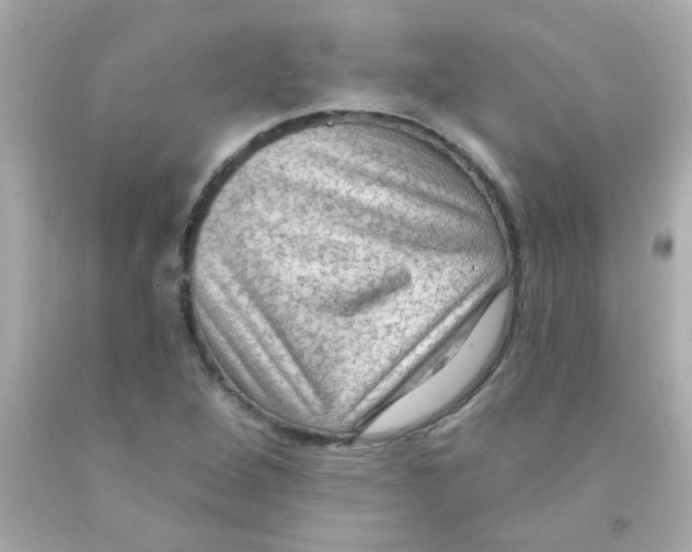 X0000093111264200710241234