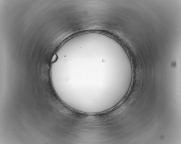 X0000093111265200710241234