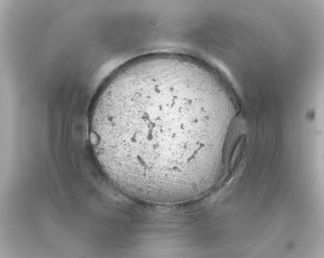 X0000093111267200710241234