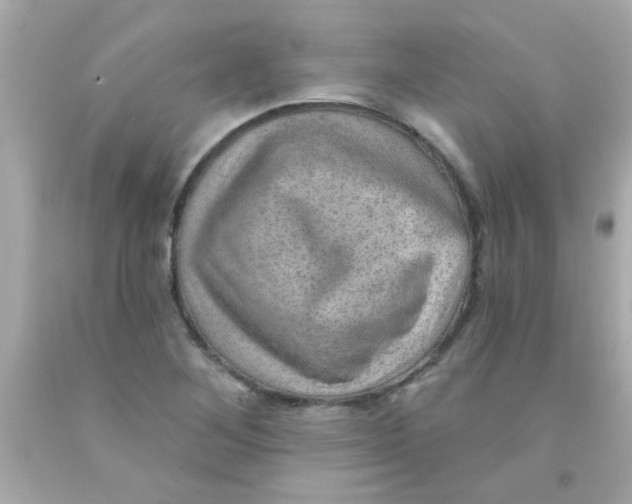 X0000093111268200710241234