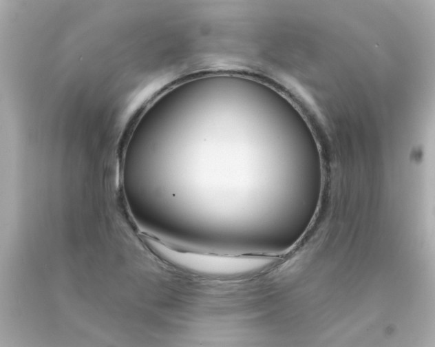 X0000093111269200710241234