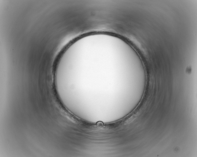 X0000093111270200710241234