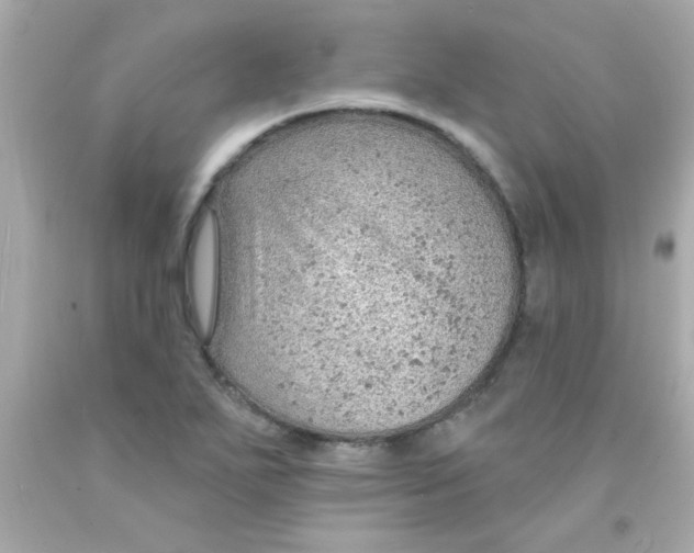 X0000093111271200710241234