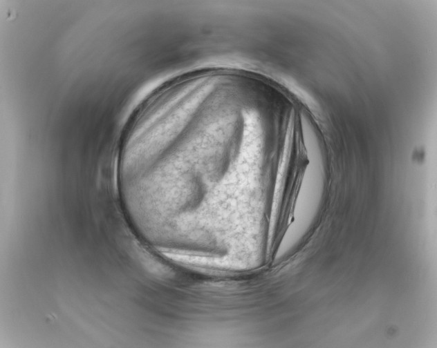 X0000093111272200710241234