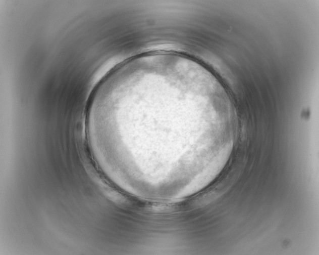 X0000093111274200710241234