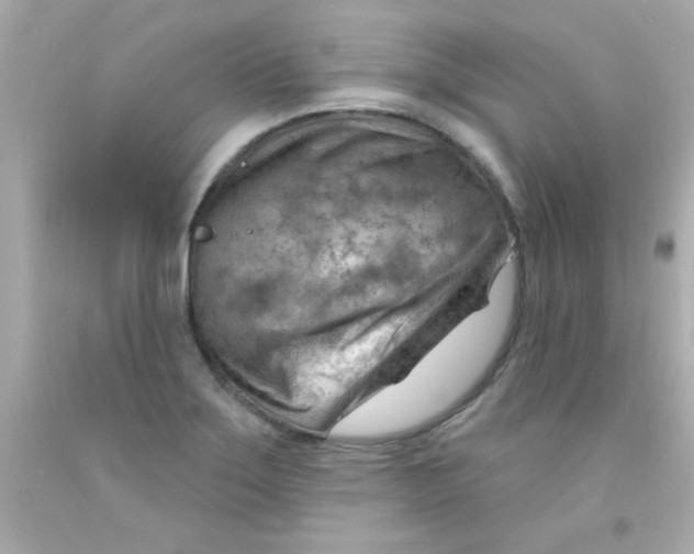 X0000093111275200710241234