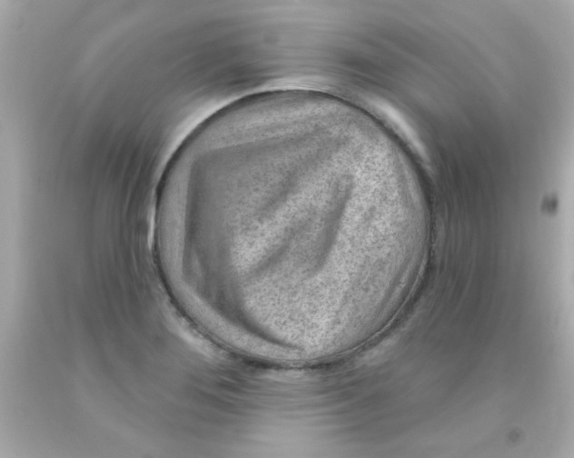 X0000093111276200710241234