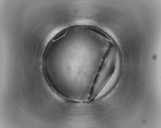 X0000093111277200710241234