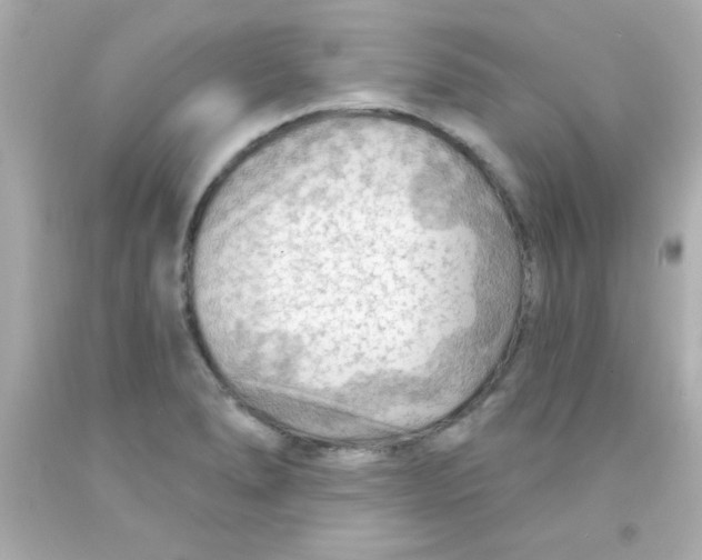 X0000093111278200710241234