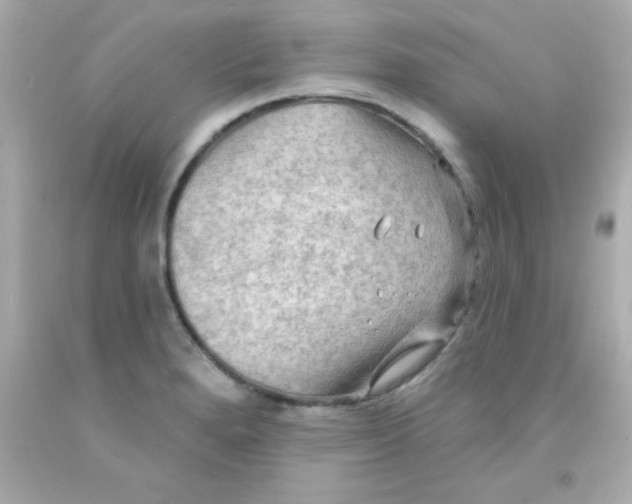 X0000093111280200710241234