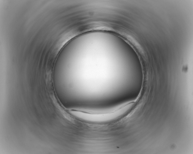 X0000093111281200710241234