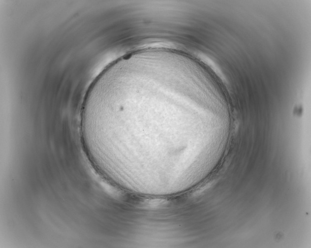 X0000093111282200710241234