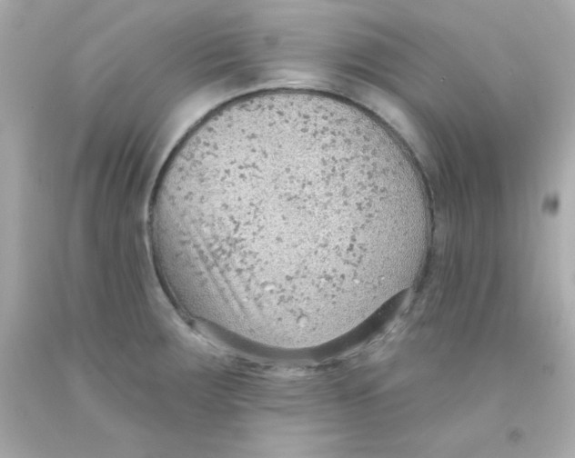 X0000093111283200710241234