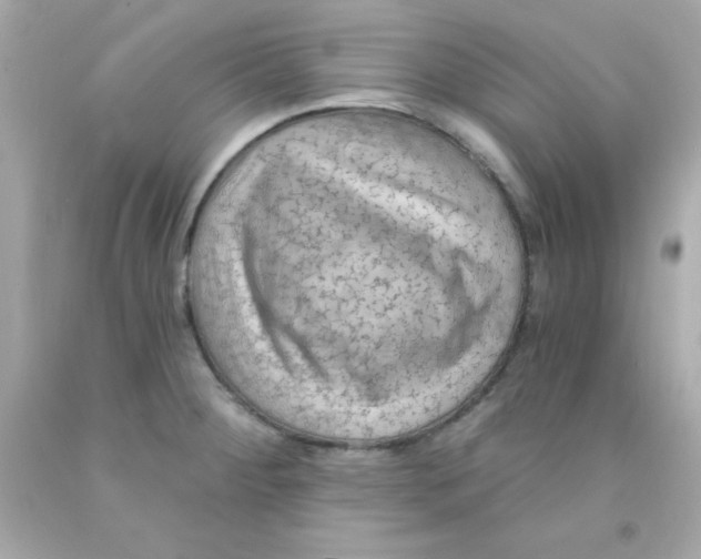 X0000093111284200710241234