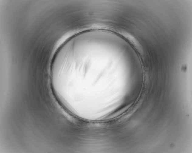 X0000093111286200710241234