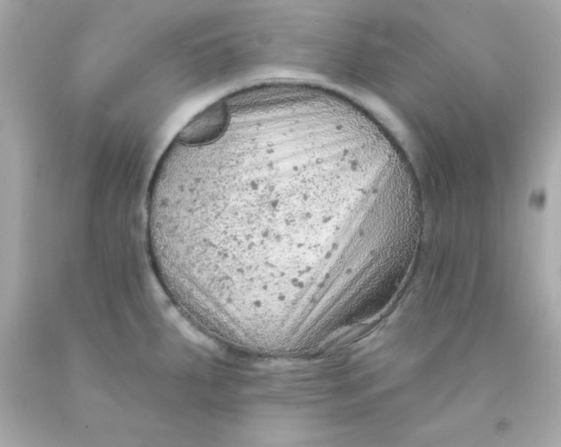 X0000093111287200710241234