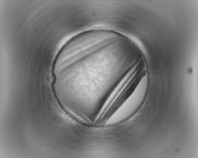 X0000093111288200710241234