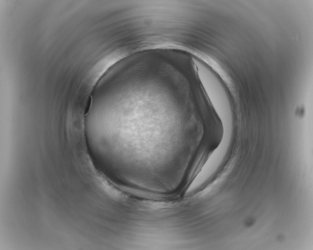 X0000093111289200710241234