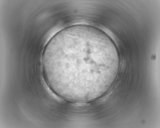 X0000093111290200710241234