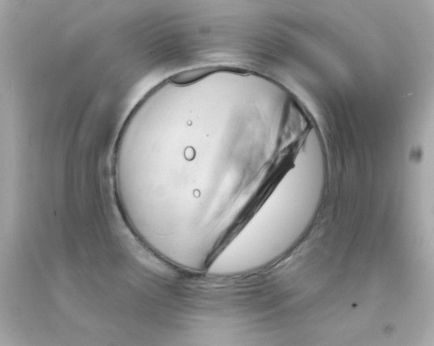 X0000093111291200710241234