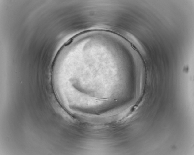 X0000093111292200710241234