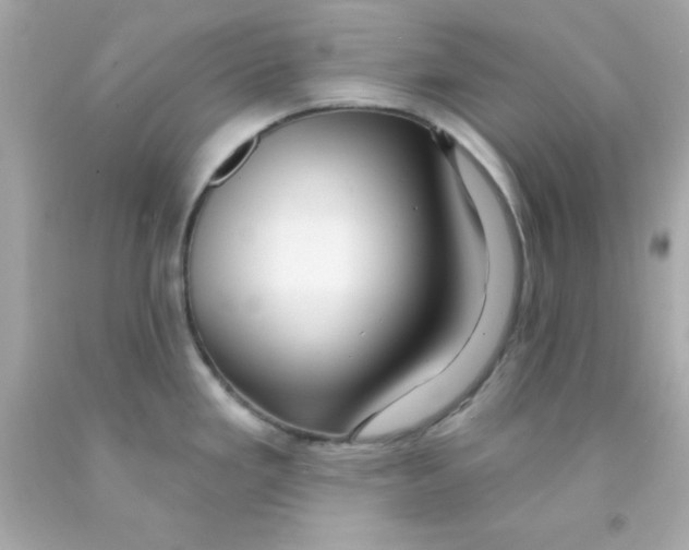 X0000093111293200710241234