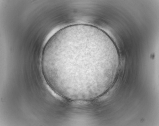 X0000093111294200710241234