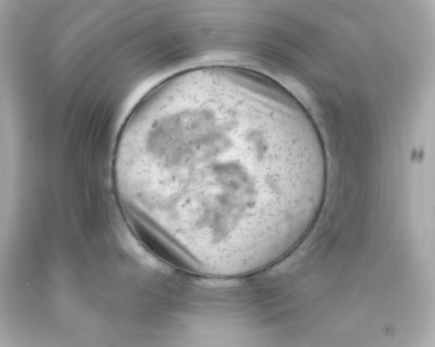 X0000093111296200710241234