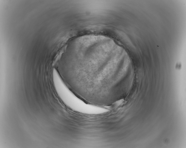 X0000093111298200710241233