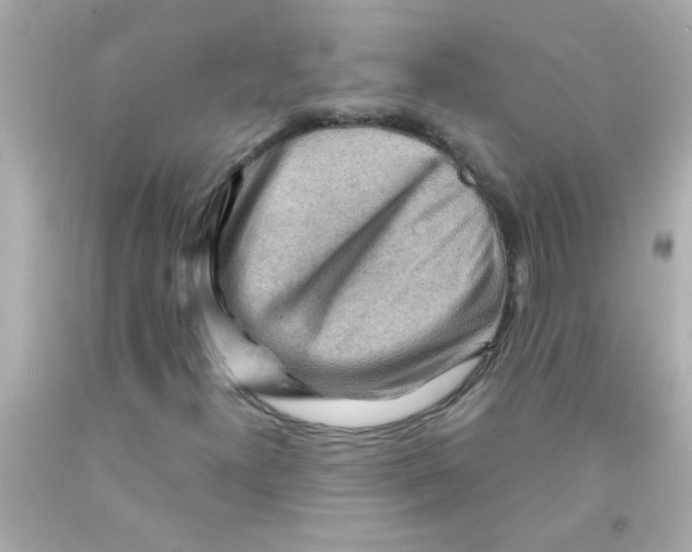 X0000093111300200710241233