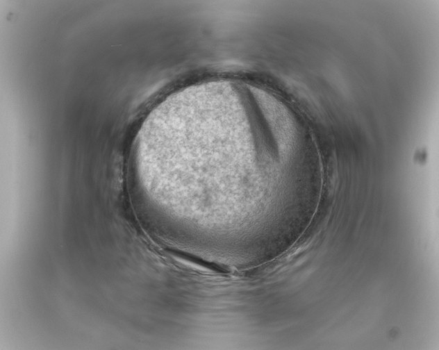 X0000093111301200710241233