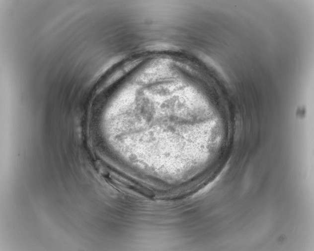 X0000093111305200710241234