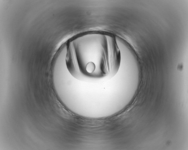 X0000093111308200710241234